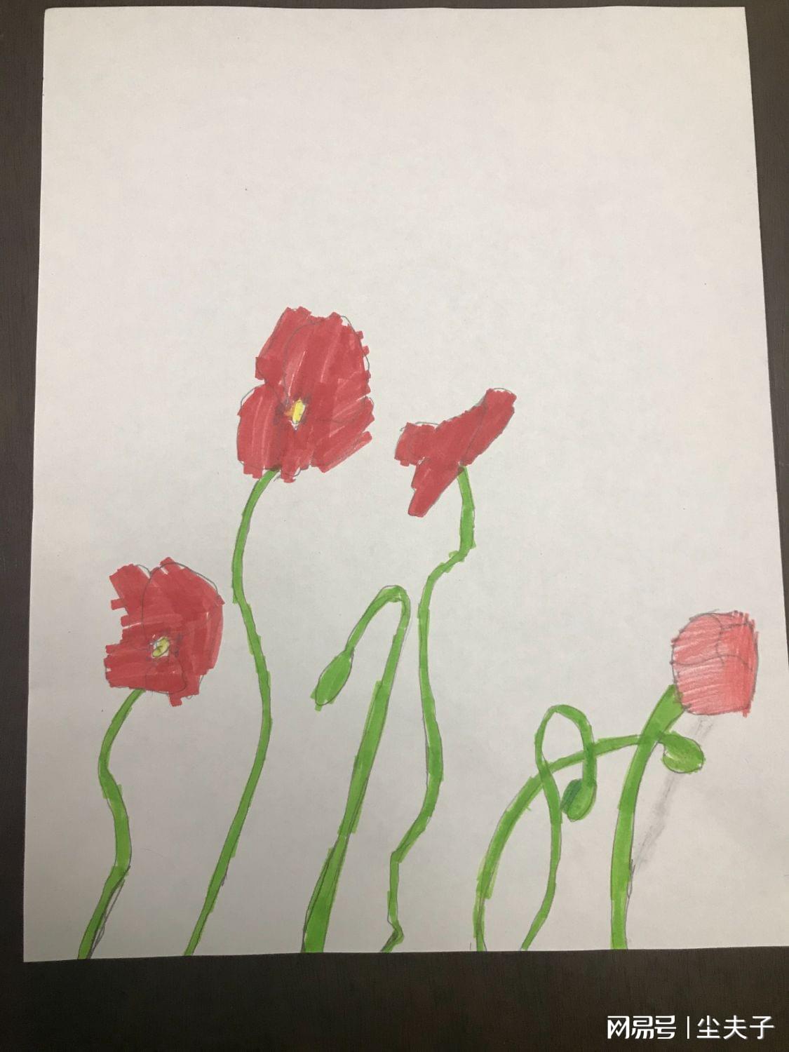 1-20數字游戲怎么玩_數字玩游戲數學畫_玩數字游戲有哪些