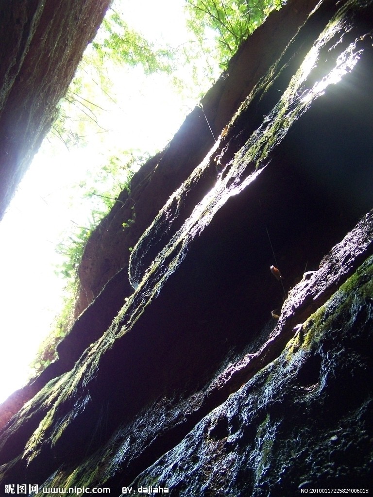 手機上荒野生存攻略