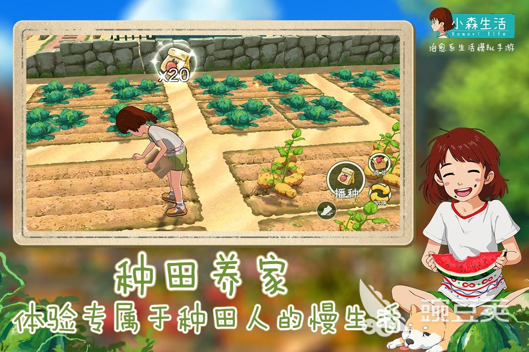 童年經(jīng)典單機(jī)游戲大全_童年單機(jī)小游戲_童年單機(jī)游戲有哪些